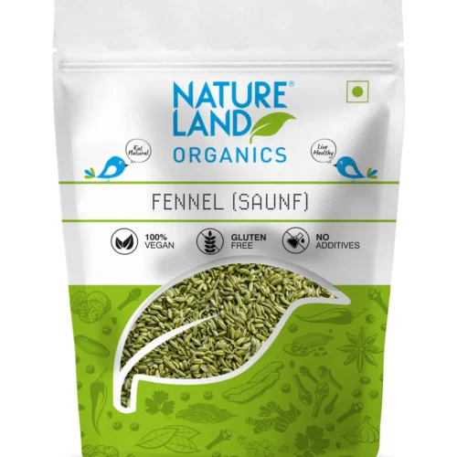 Nature Land Saunf/Fennel Seeds 100g